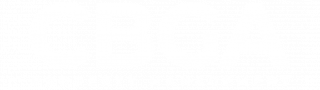 Robson Abociates Limited logo