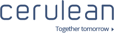 Cerulean Solutions Limited logo