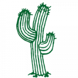 Cactus Security Limited