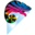 Chameleon Design Limited