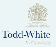 Todd White Art Photography logo