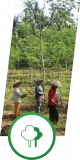 Telapak, Indonesia logo