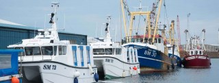 Brighton And Newhaven Fish Sales