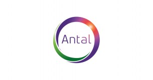 Antal International Limited