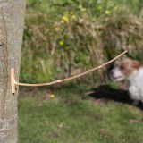 Weather Sticks (UK)