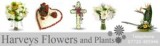 Harveys Flower And Plants Logo
