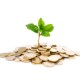 Salma And Nabs Accountancy Firm logo