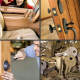 Ozgoods Locksmiths logo