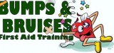 Bumps And Bruises First Aid Training Logo