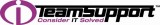 iTeamSupport Logo