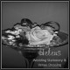 Helens Wedding Stationery logo