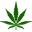 Weed World