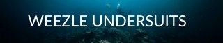 Weezle Diving Services Limited