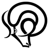 Dcfc Limited logo