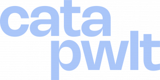 Swansea It E C Limited logo