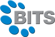 Business It Systems Limited logo