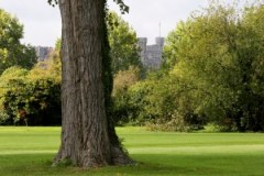 Datchet Golf Club