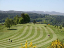 Dunkeld & Birnam Golf Club logo