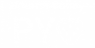 Bourne Valley Pyo logo