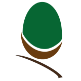 Acorn Scaffolding Limited