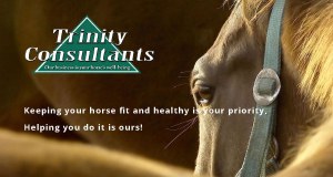 Trinity Consultants