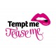 Tempt Me Tease Me Adult Shop Logo