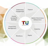 Nhs Transformation Unit