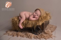 Dora Horvath Photography