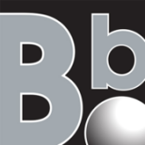 Bearing Boys Limited logo