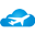 Skyjet Air Travel
