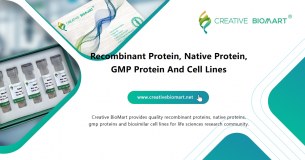 Creative Biomart