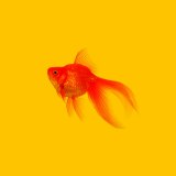 Mdr Creative Ltd