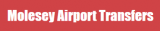 Molesey Airport Transfers Logo