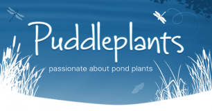 Puddleplants