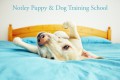 Notley Puppy And Dog Training School Logo