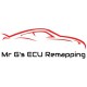 Mr G 's Ecu Remapping Logo