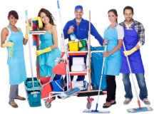 Tidy Up