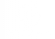 Fly Dreams