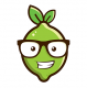Design Lime logo