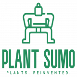 Plant Sumo