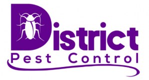 Craigavon Pest Control