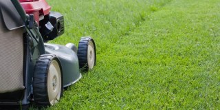 Elevated Garden Services Limited