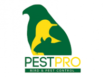 Pestpro Bird Solutions Limited