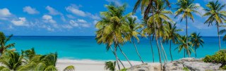 Tropical Island Rentals