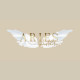 Aries Aesthetics logo