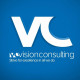 Vision Consulting