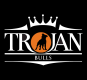 Trojanstaff Uk