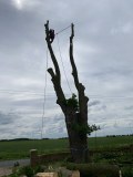 Rw Landscaping Limited