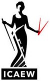 Syon Associates