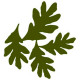 Country Cousins logo